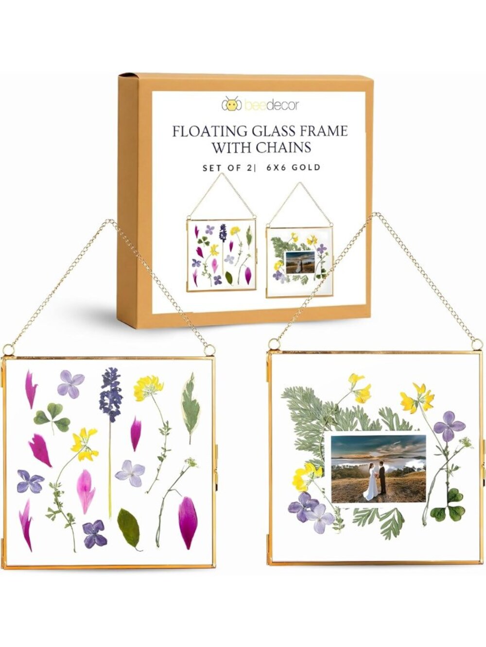 Set of 2 Gold Metal 6x6 Square Glass Frames for Pressed Flowers & Artwork